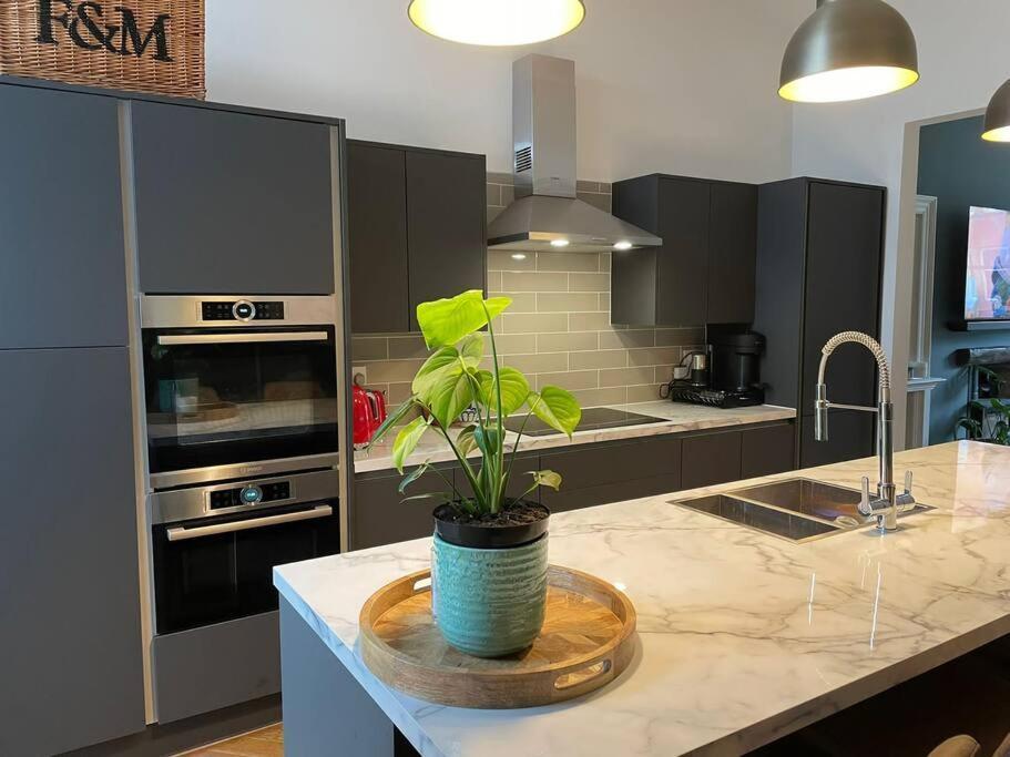 Leo's House Apartment