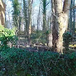 Dreamwood Cottage, Loch Lomond, Luxury Apartment.