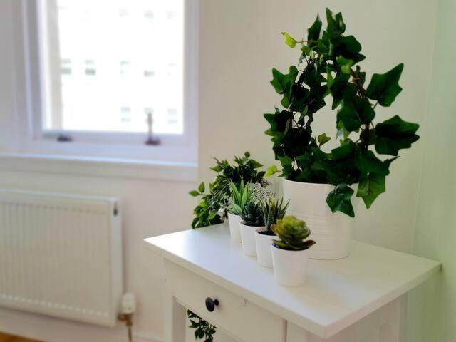 Cosy Flat, West End, Close To Sec, Hydro & Tourist Attractions * Glasgow