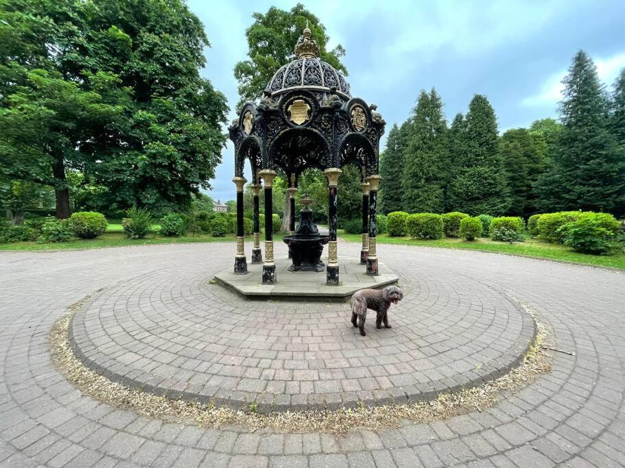 Traditional Close To Centre & Hampden *