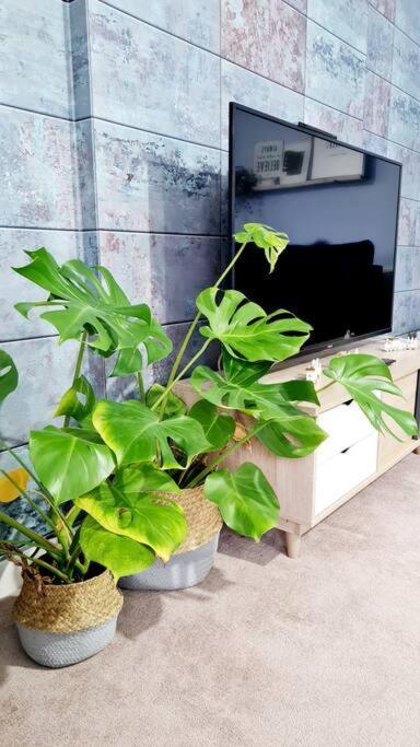Stylish 2 Bedroom / Free Gated Parking Glasgow