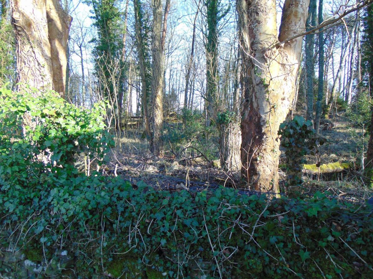 Dreamwood Cottage, Loch Lomond, Luxury Apartment. Glasgow