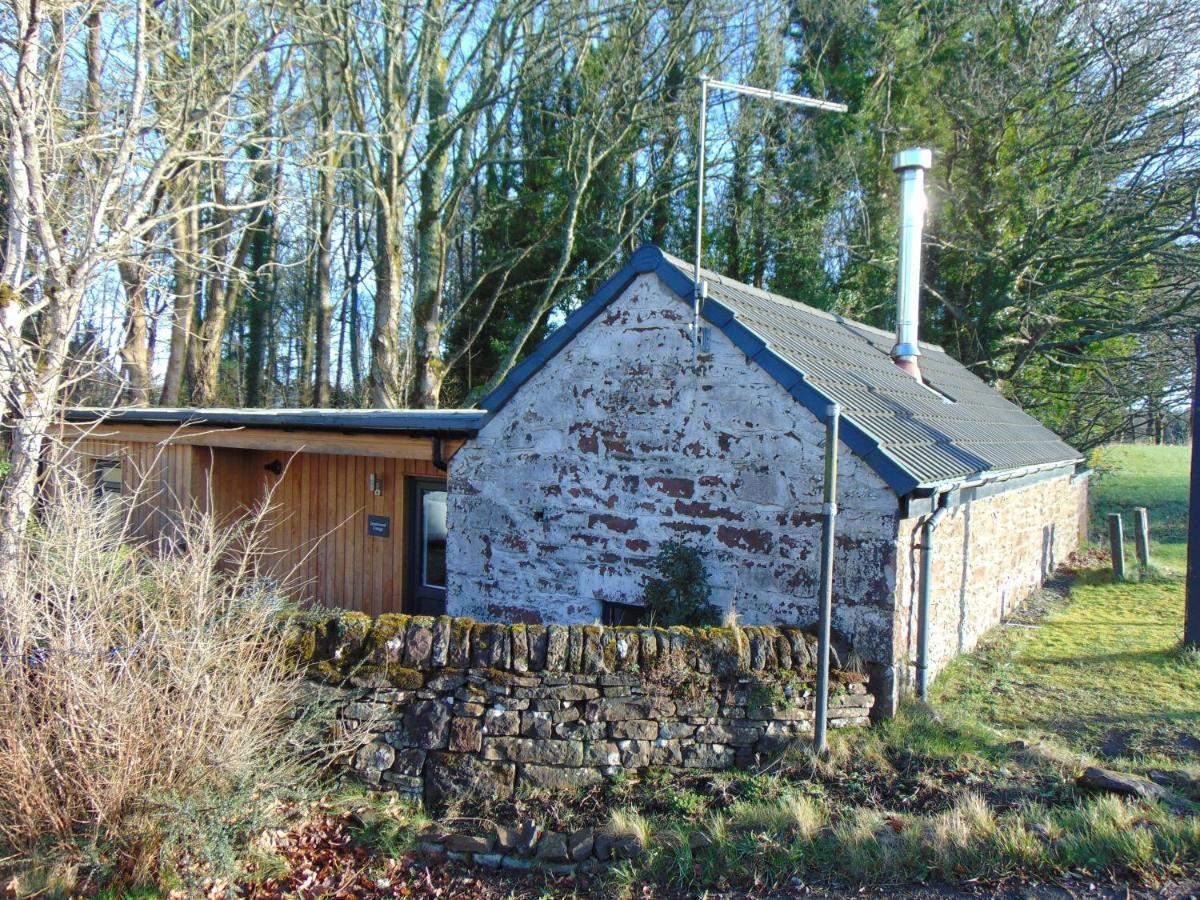 Dreamwood Cottage, Loch Lomond, Luxury Apartment. Apartment Glasgow