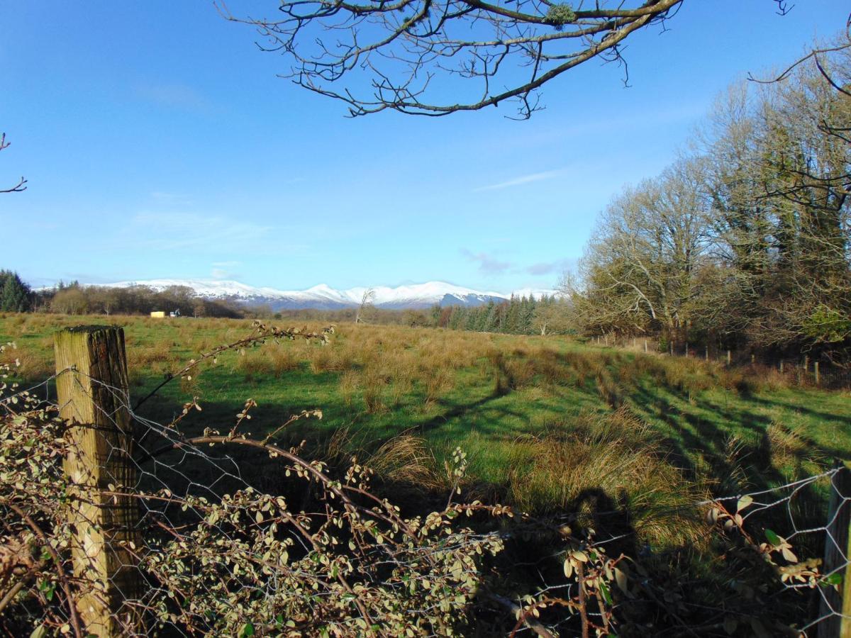 Apartment Dreamwood Cottage, Loch Lomond, Luxury Apartment. *