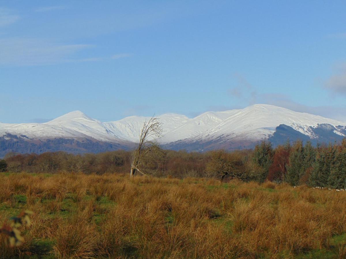 Apartment Dreamwood Cottage, Loch Lomond, Luxury Apartment. Glasgow