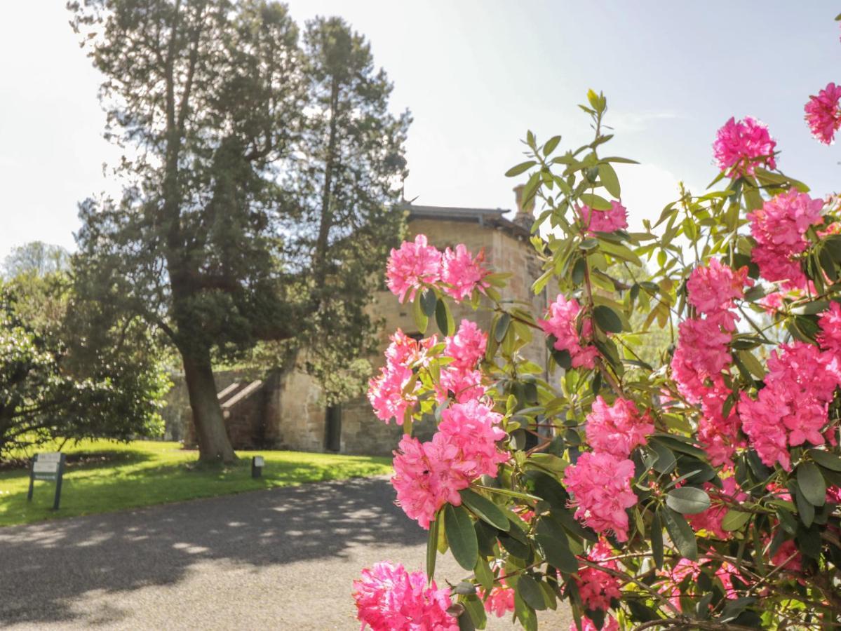 The Coach House - Holmwood Holiday home *