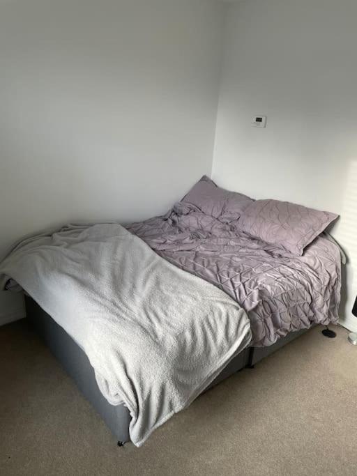 03 Flat Apartment *