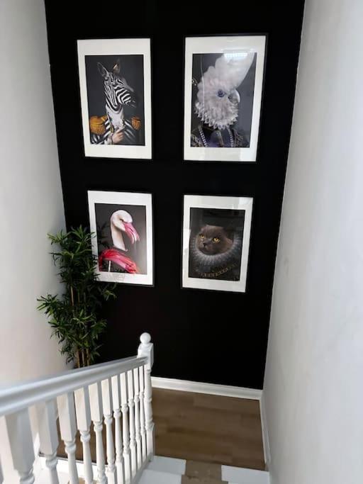 3 Bedroom/3 Bathroom Large Flat Near Ovo Hydro Apartment *