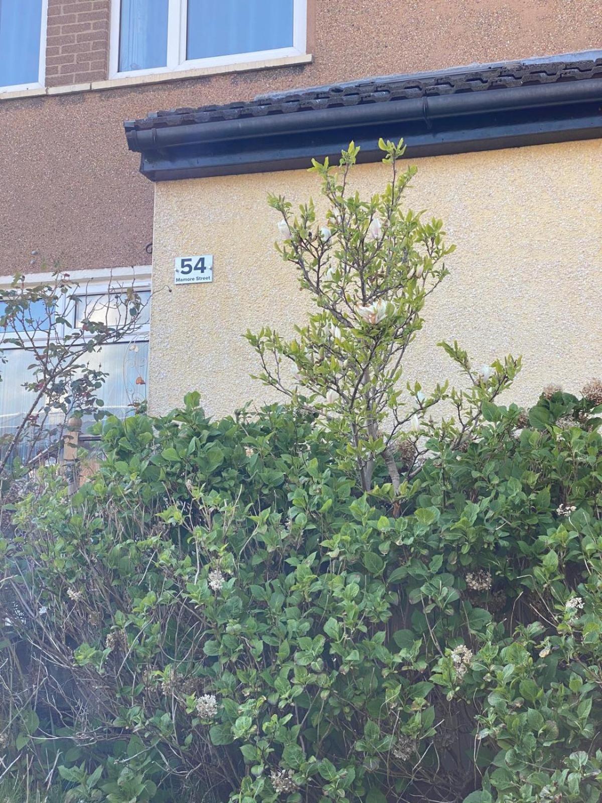 Stunning 3 Bedroom House With 2 Bathrooms Holiday home Glasgow