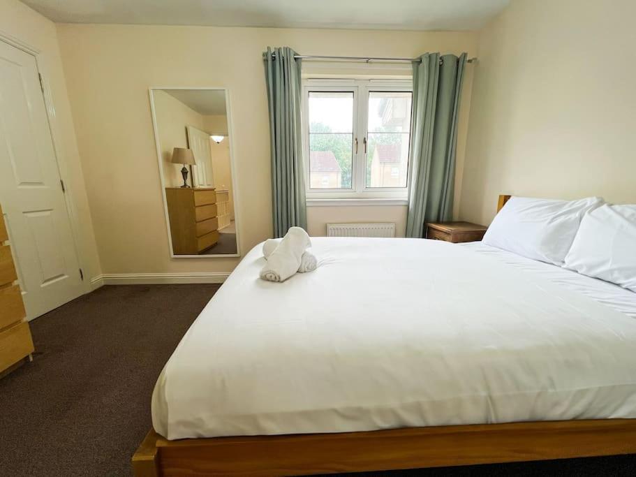 Apartment Semi-detached In