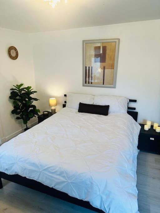 Apartment Entire Private 1 Bedroom - Guest In Glasgow