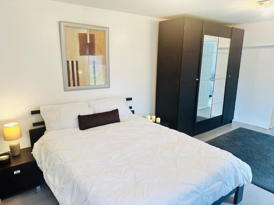 Apartment Entire Private 1 Bedroom - Guest In Glasgow