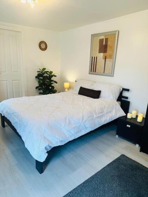 Entire Private 1 Bedroom - Guest In * Glasgow
