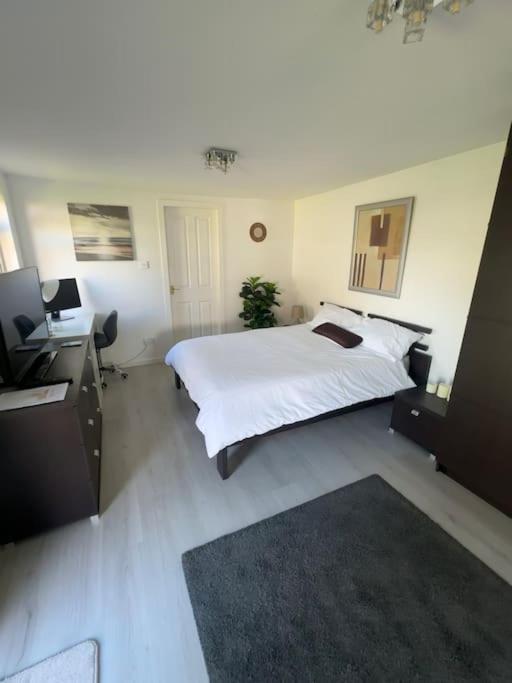 Entire Private 1 Bedroom - Guest In