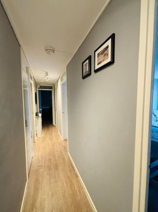 Floor Of The Building, Spectacular Views! Apartment *