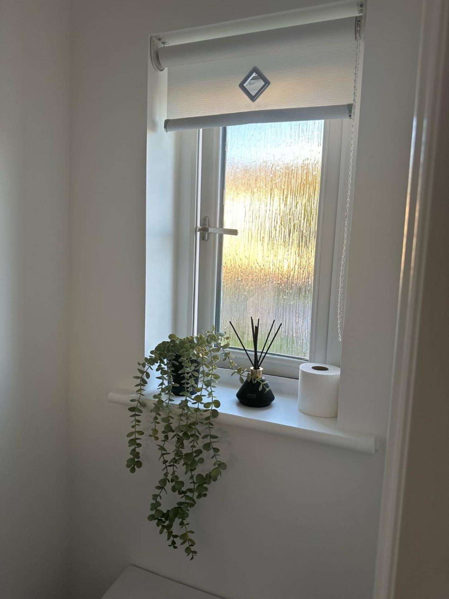Black Daisy Apartment Glasgow