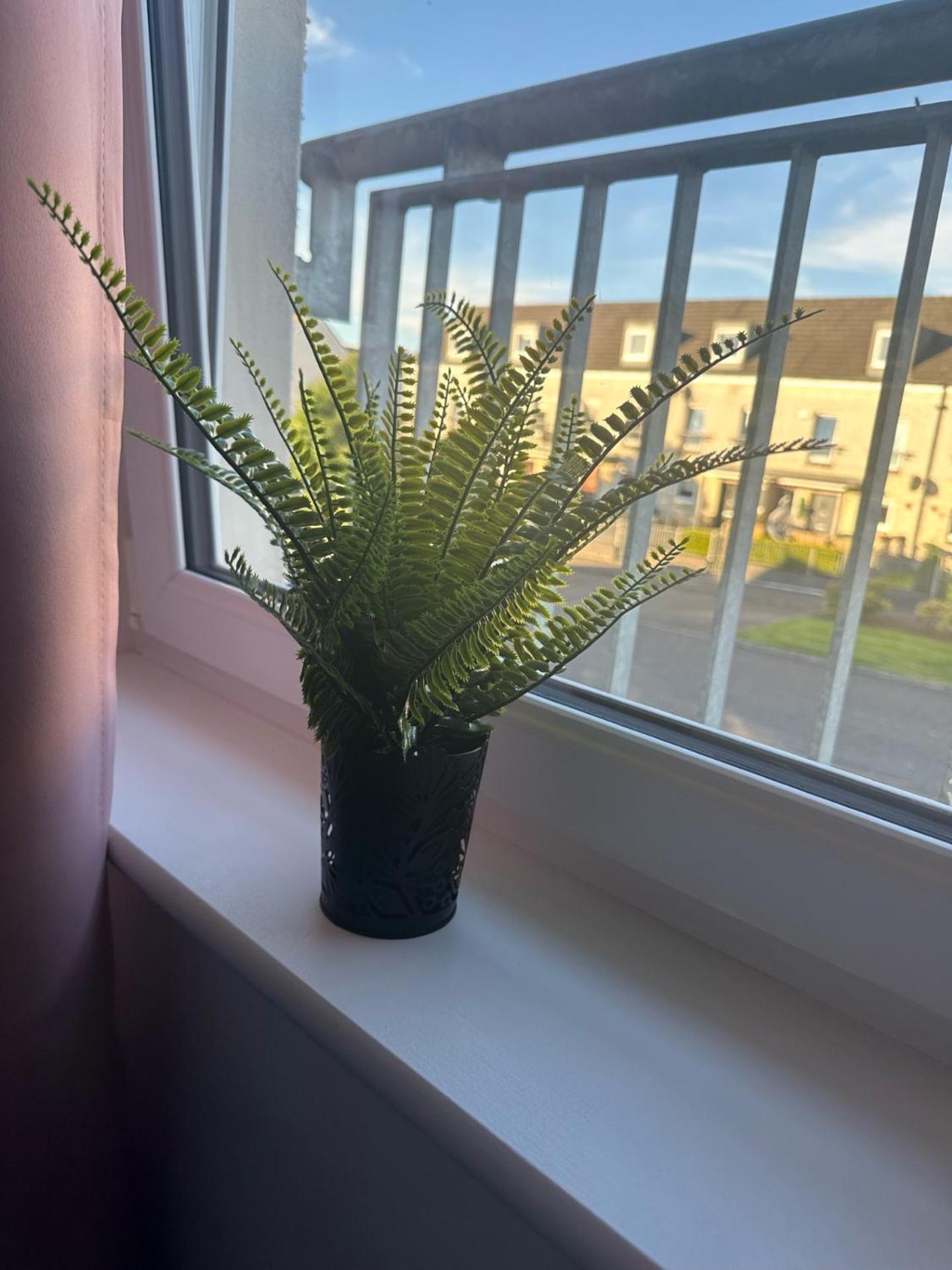 Apartment Black Daisy