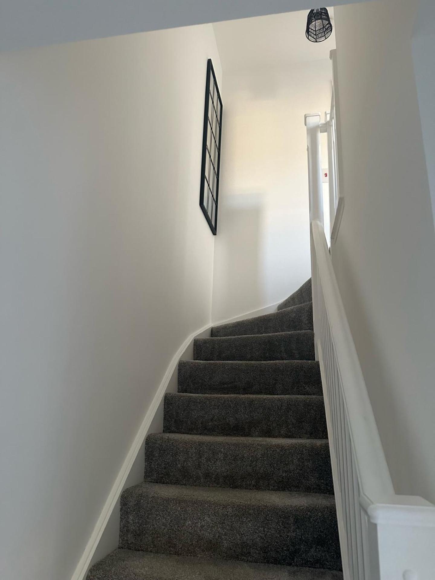 Black Daisy Apartment Glasgow