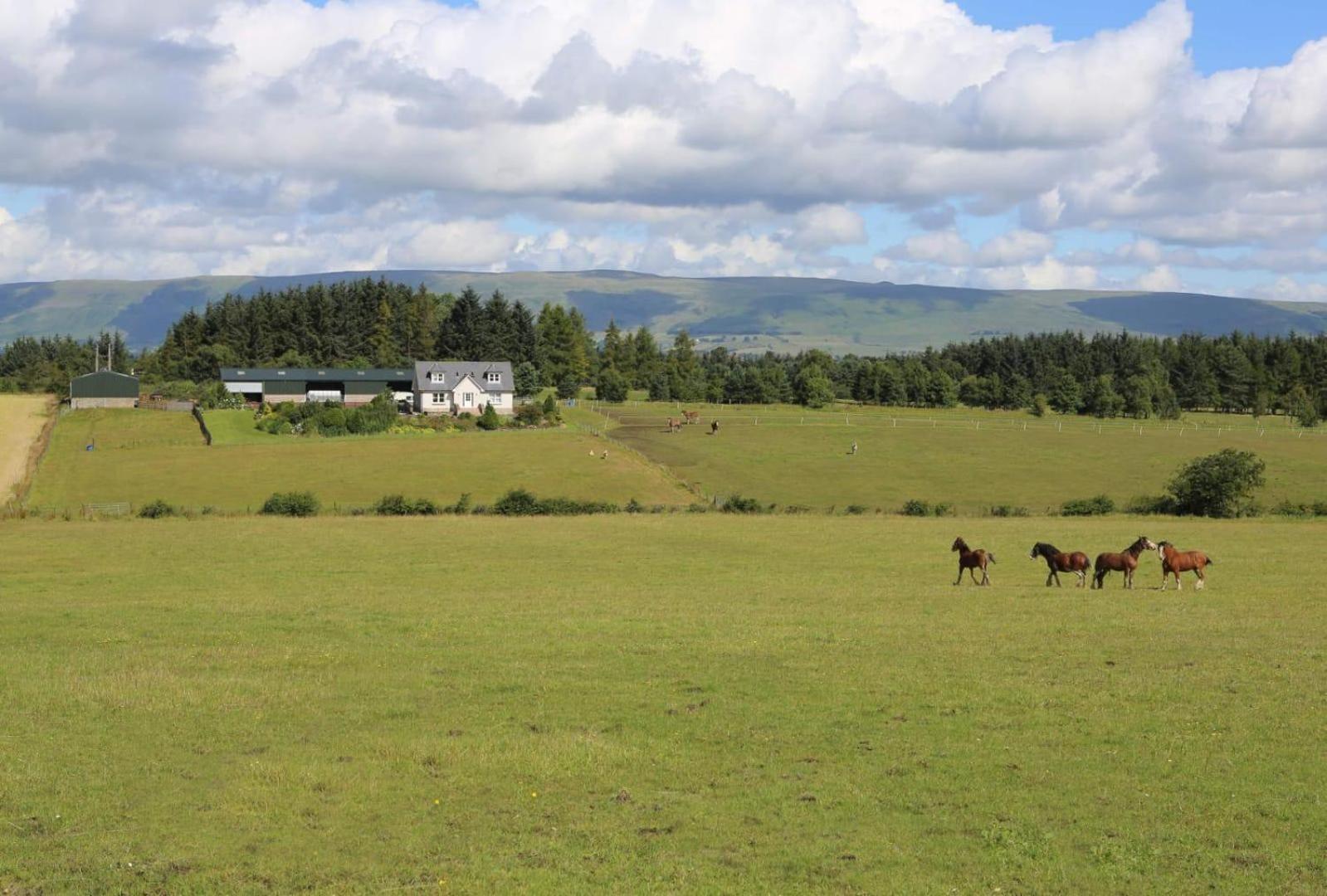 East Bank Farm Holiday home