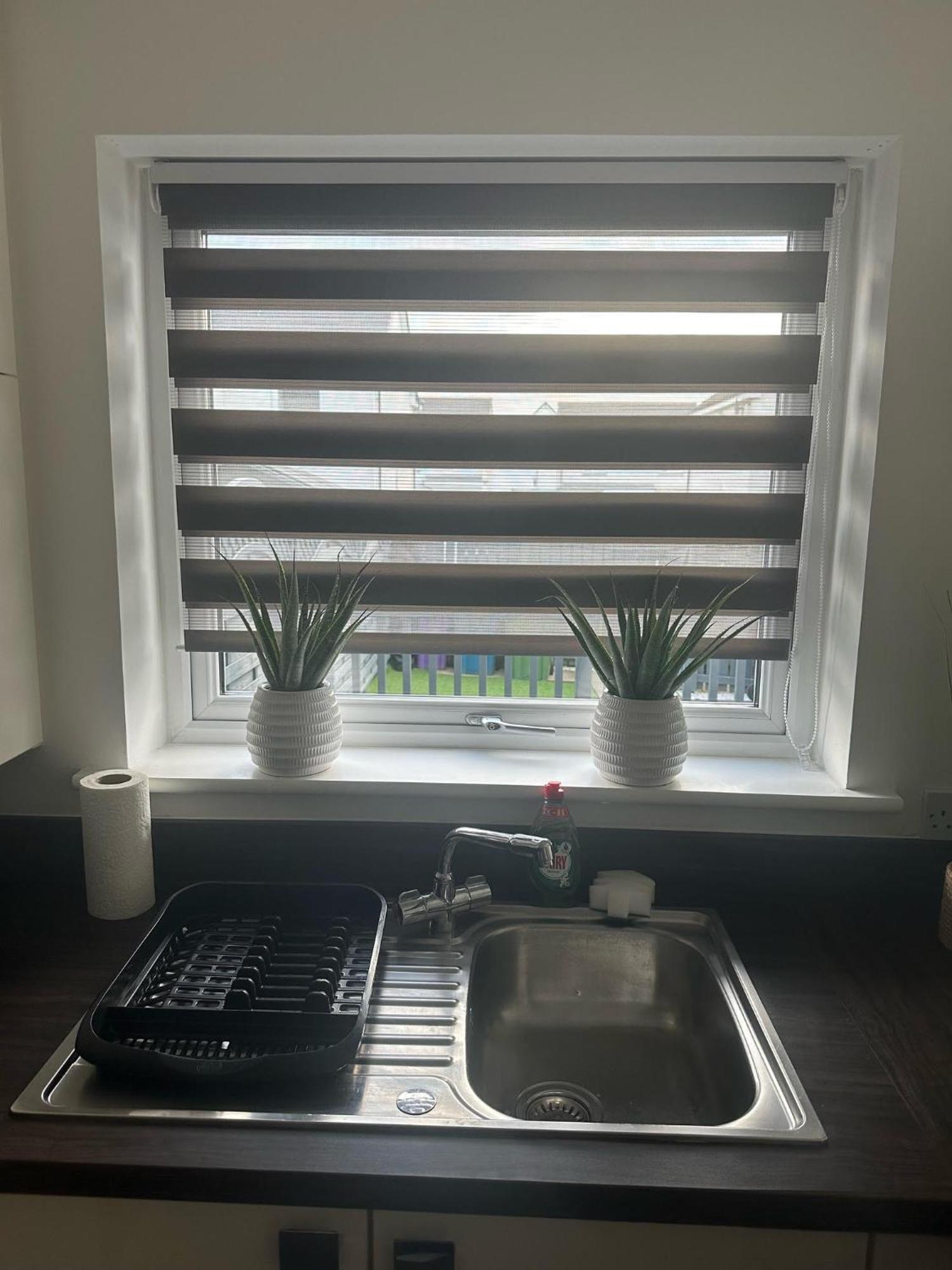 Black Daisy Apartment *