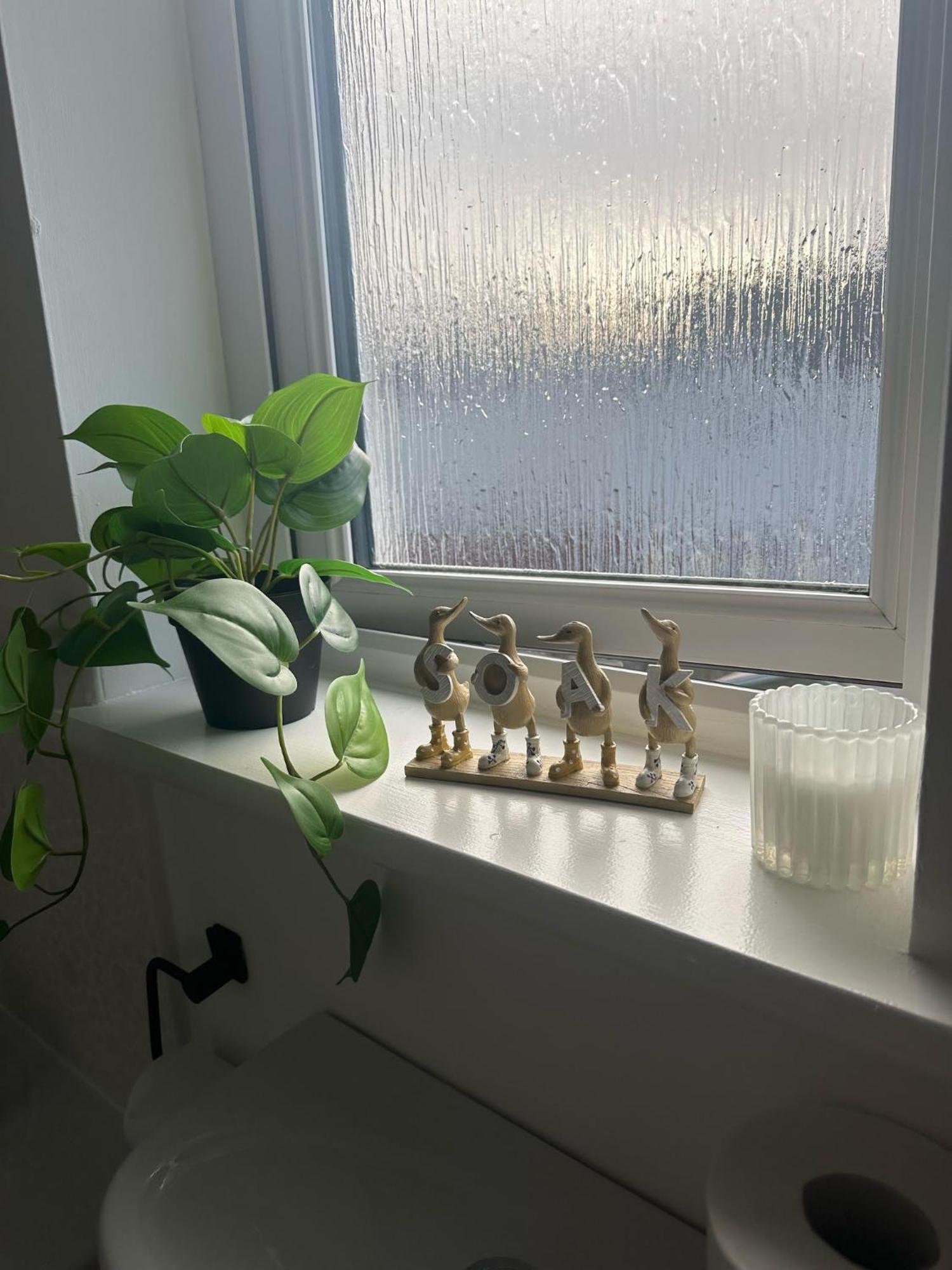 Black Daisy Apartment *