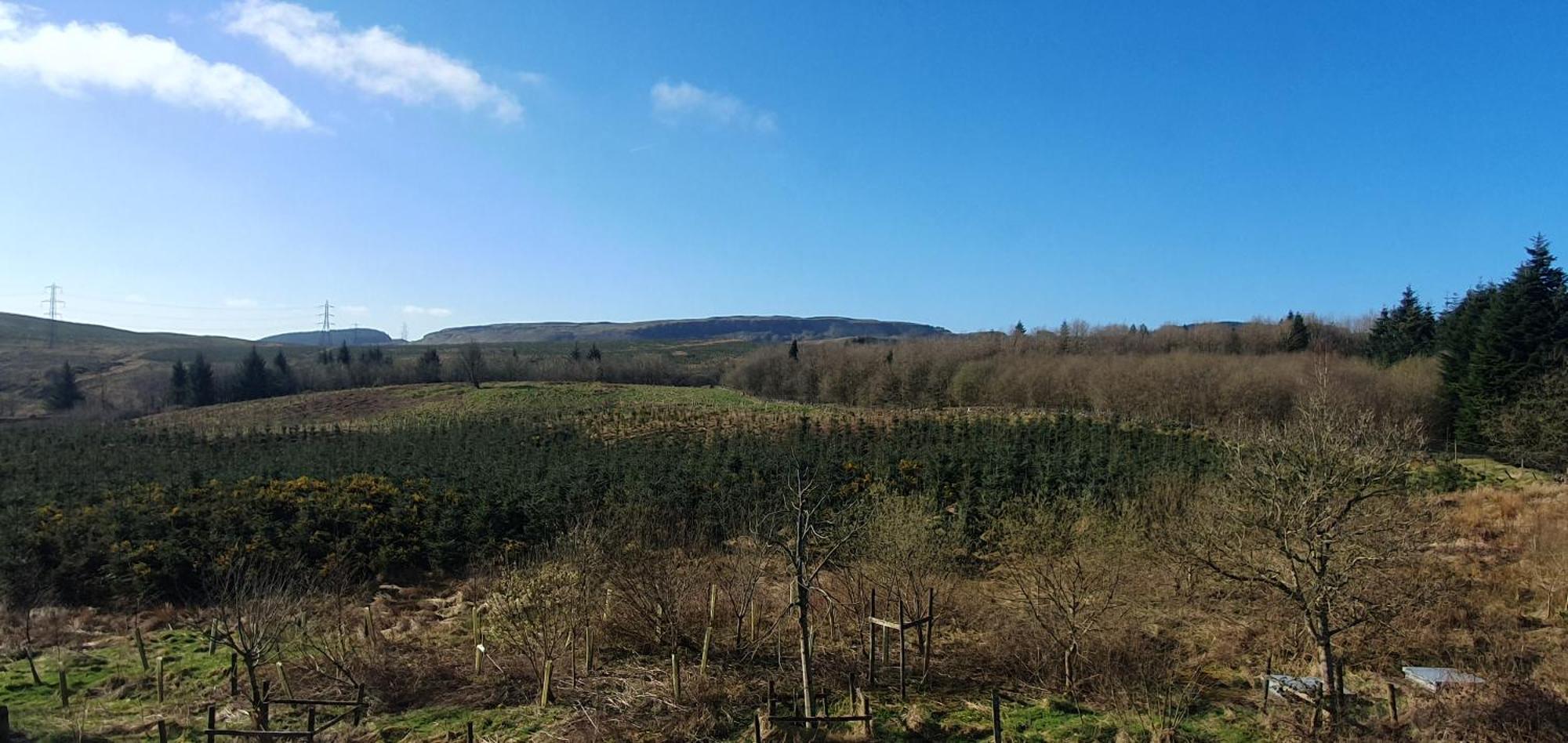 Edenmill Farm Farm stay Glasgow