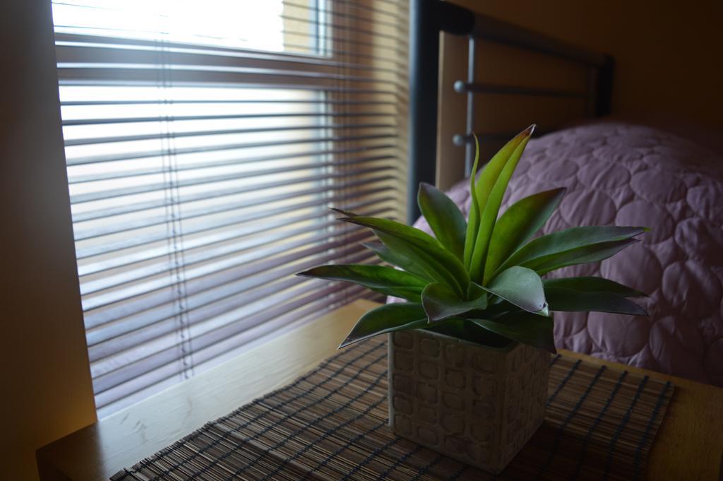 Apartment Spacious City Centre *