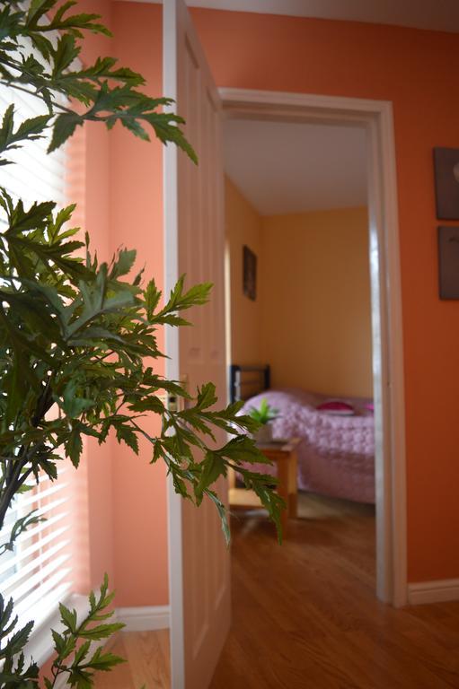 Apartment Spacious City Centre
