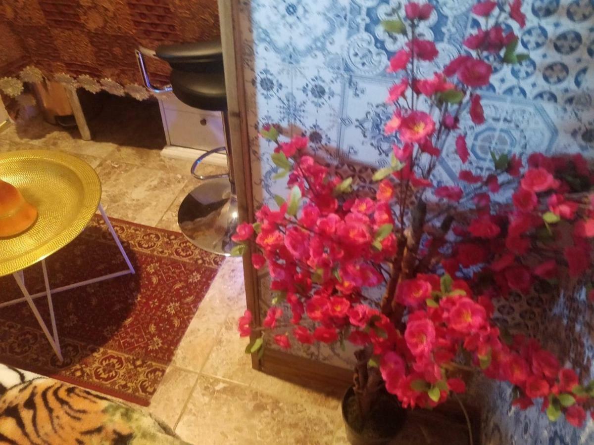 Guest house Alladin Nights