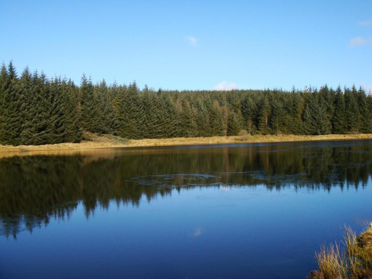 Holiday home The Oatland - Luxury House With Private Garden & Parking *