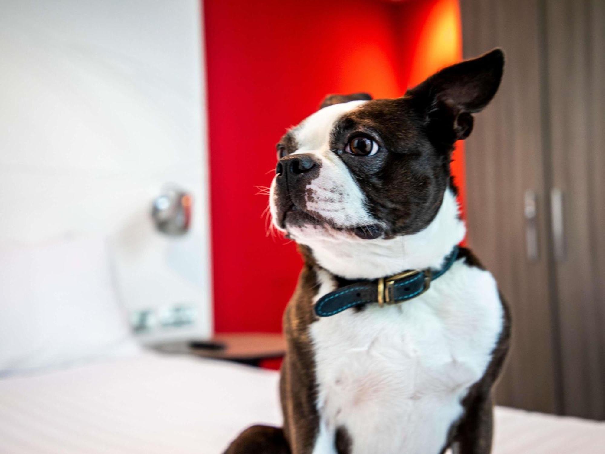 Ibis Styles 3*