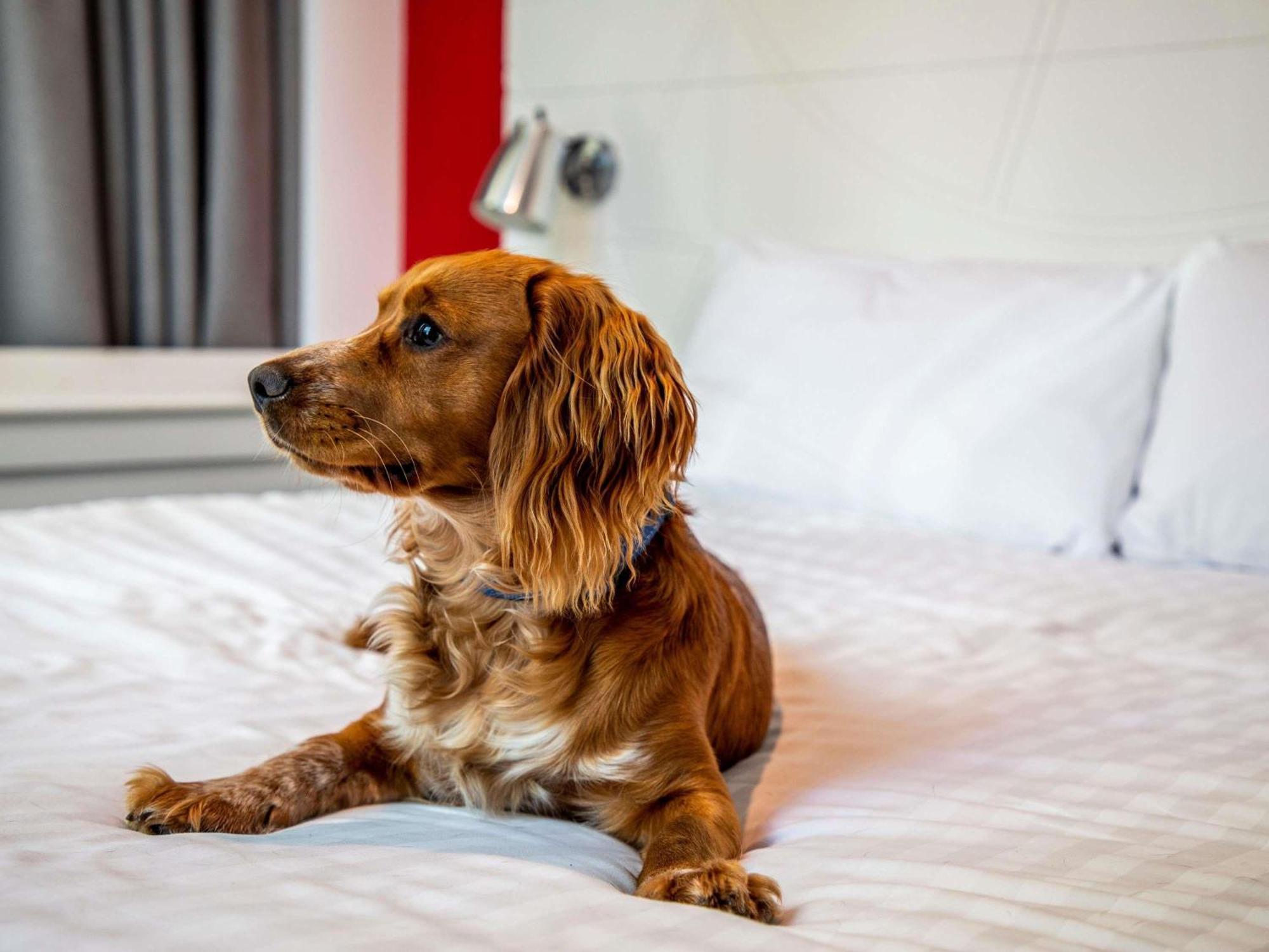 Ibis Styles 3* Glasgow